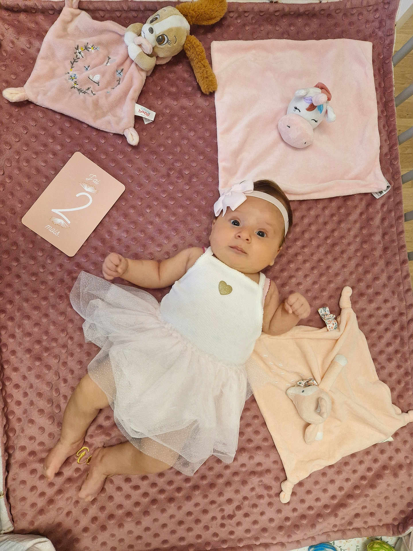 Jade participe au concours pour gagner de l'argent avec cette photo : baby, infant, tutu, dress, headband, plush_toy, blanket, milestone_card, pink, white, cute, lying_down, soft_texture, floor, indoors, child, young, adorable, person, decor