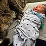 animal, baby, bed, blanket, cat, closeup, companionship, cozy, cute, fur, human, indoor, peaceful, portrait, resting, sleeping, soft, swaddled, tabby, warm