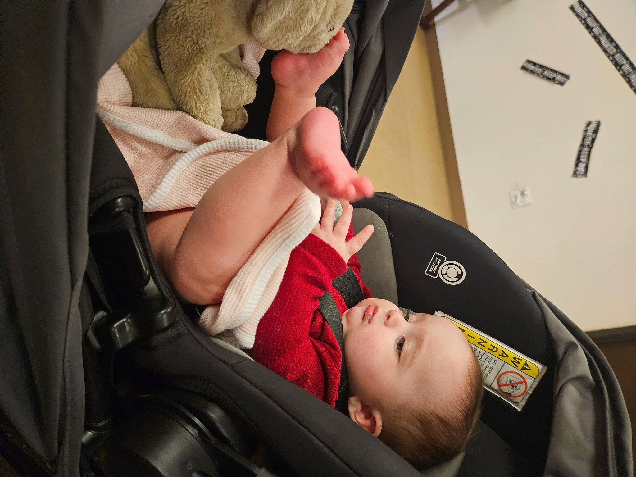 Celeste is registered to the contest to win money with this photo: auto_part, baby, baby_carriage, baby_products, baby_safety, car_seat, carmine, child, comfort, person, service, toddler