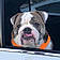 Winston
