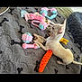 Falkor is registered to the contest to win money with this photo: animal, bed, bedspread, blanket, chew_toy, colorful, comfort, cream_color, cute, dog, fabric, fur, indoor, pet, pillow, playing, puppy, resting, small_dog, toy