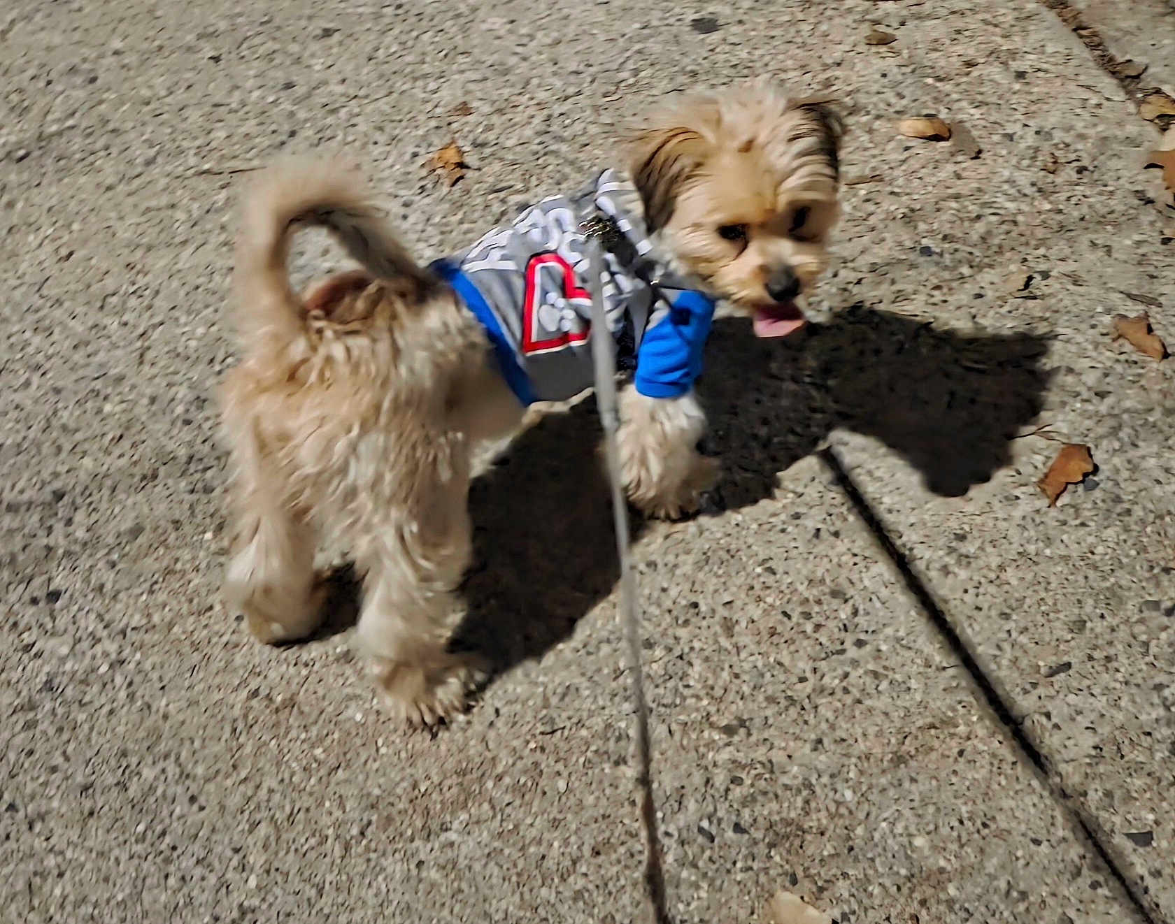 Milo