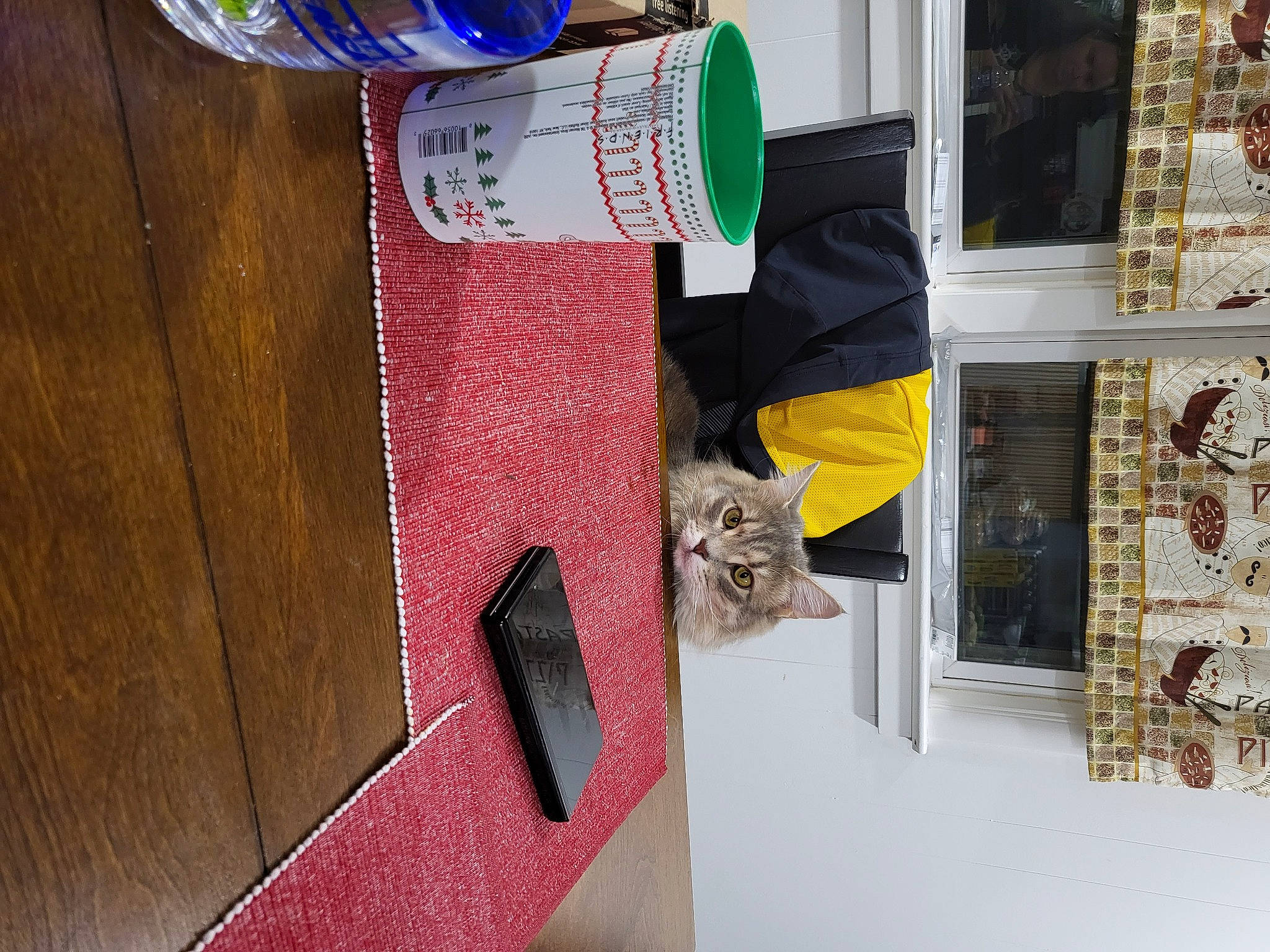 Gus is registered to the contest to win money with this photo: bottled_water, cat, chair, drinking_water, felidae, flooring, hardwood, linens, magenta, material_property, mineral_water, plastic_bottle, rectangle, room, shelf, textile, water, water_bottle, window, wood