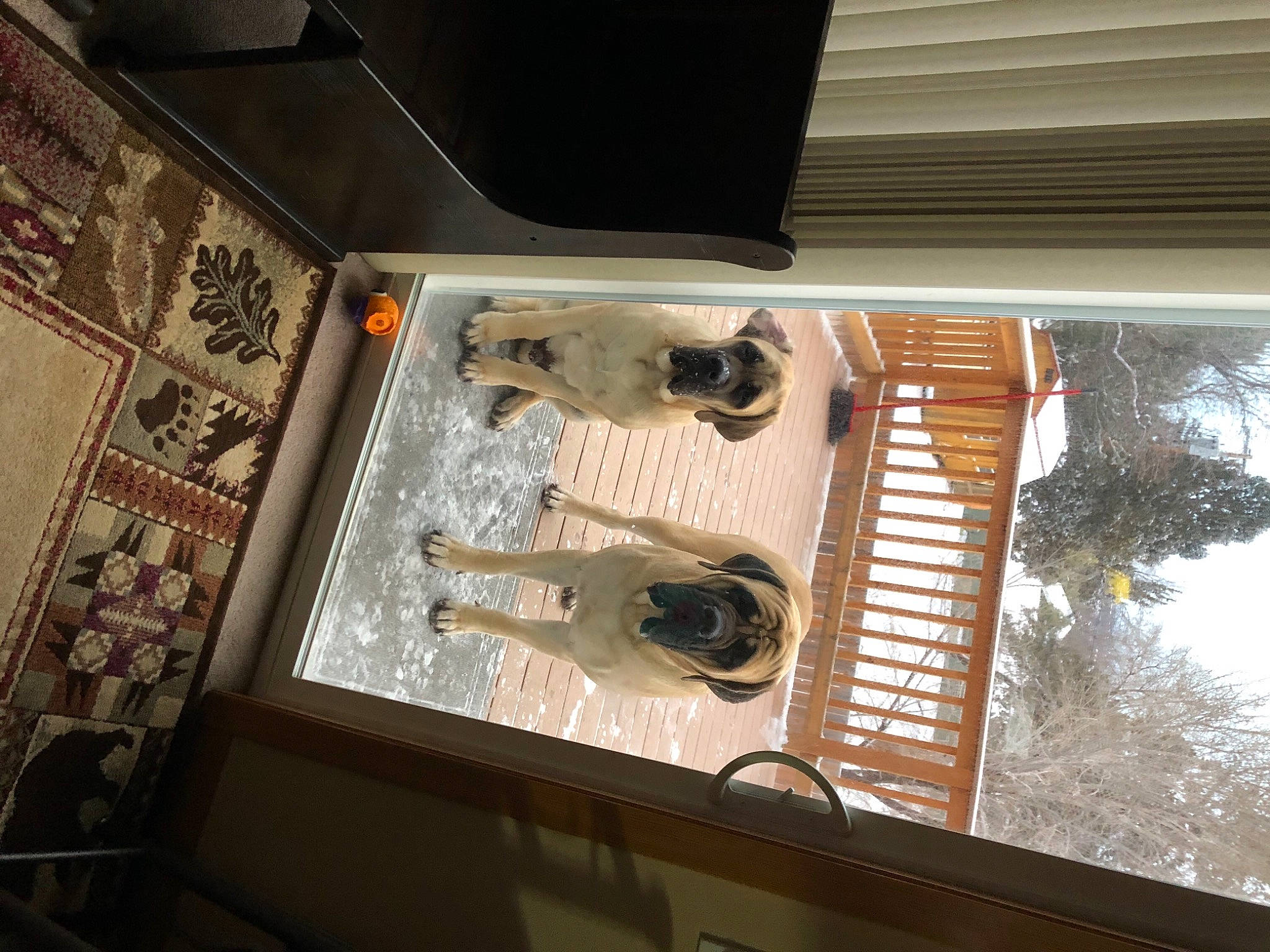 Henrey Howard is registered to the contest to win money with this photo: audio_equipment, ceiling, electrical_wiring, gas, glass, hardwood, house, machine, metal, room, window, wood