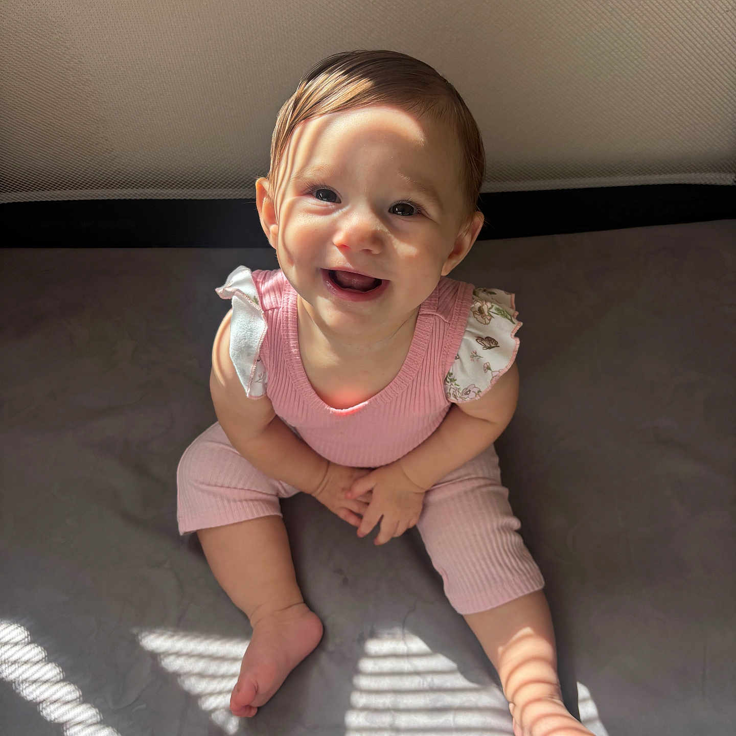 Isabella