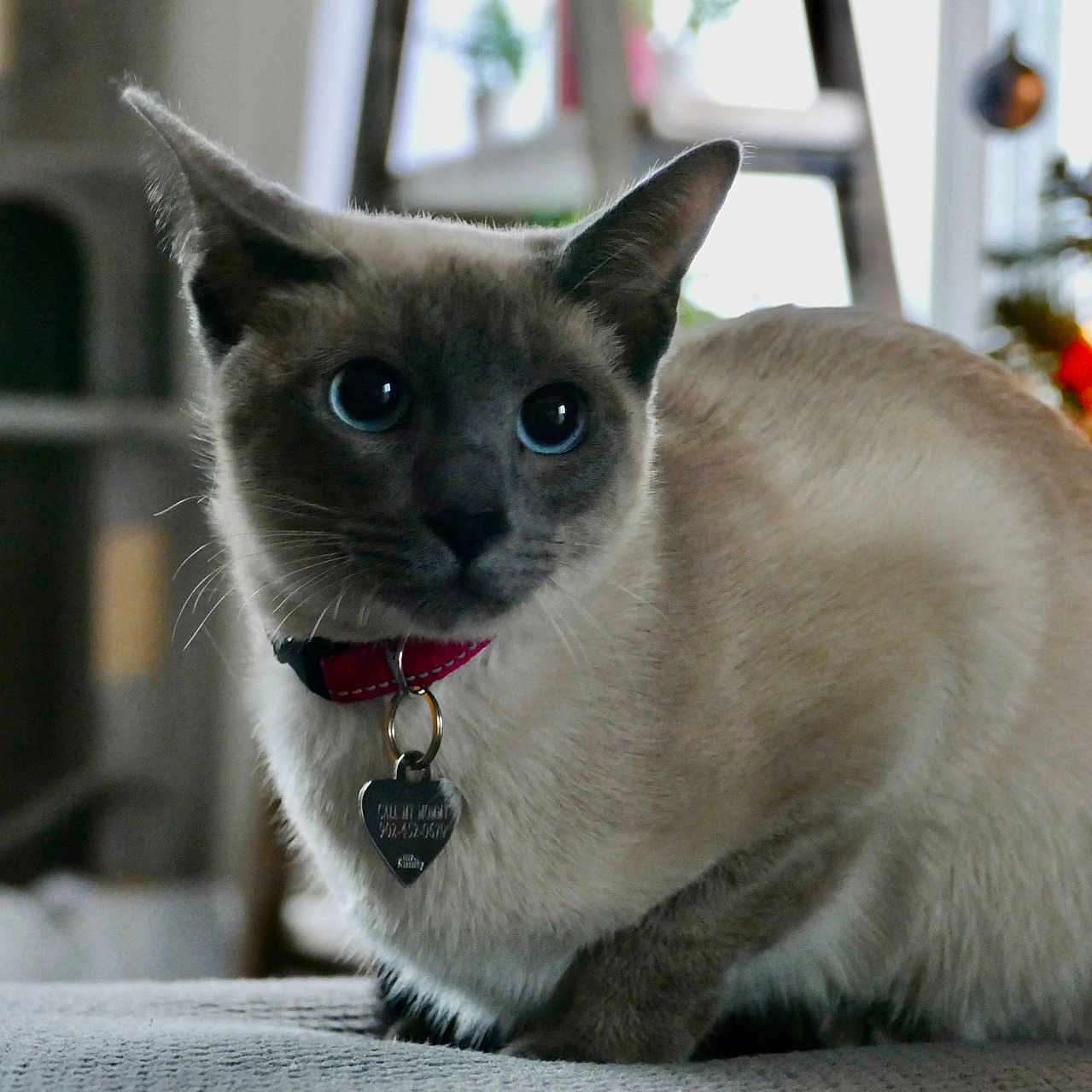 Flossie