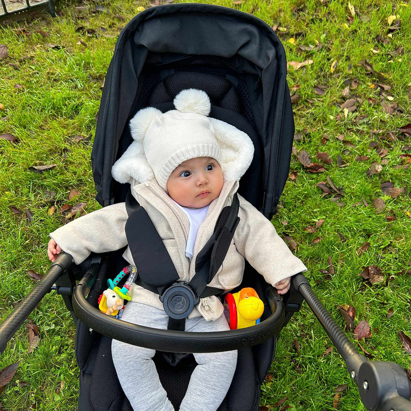 Elyne participe au concours pour gagner de l'argent avec cette photo : alloywheel, baby, beanie, bonnet, cap, car, carwheel, clothing, face, grass, hat, head, hood, hosiery, person, photography, plant, portrait, sock, stroller