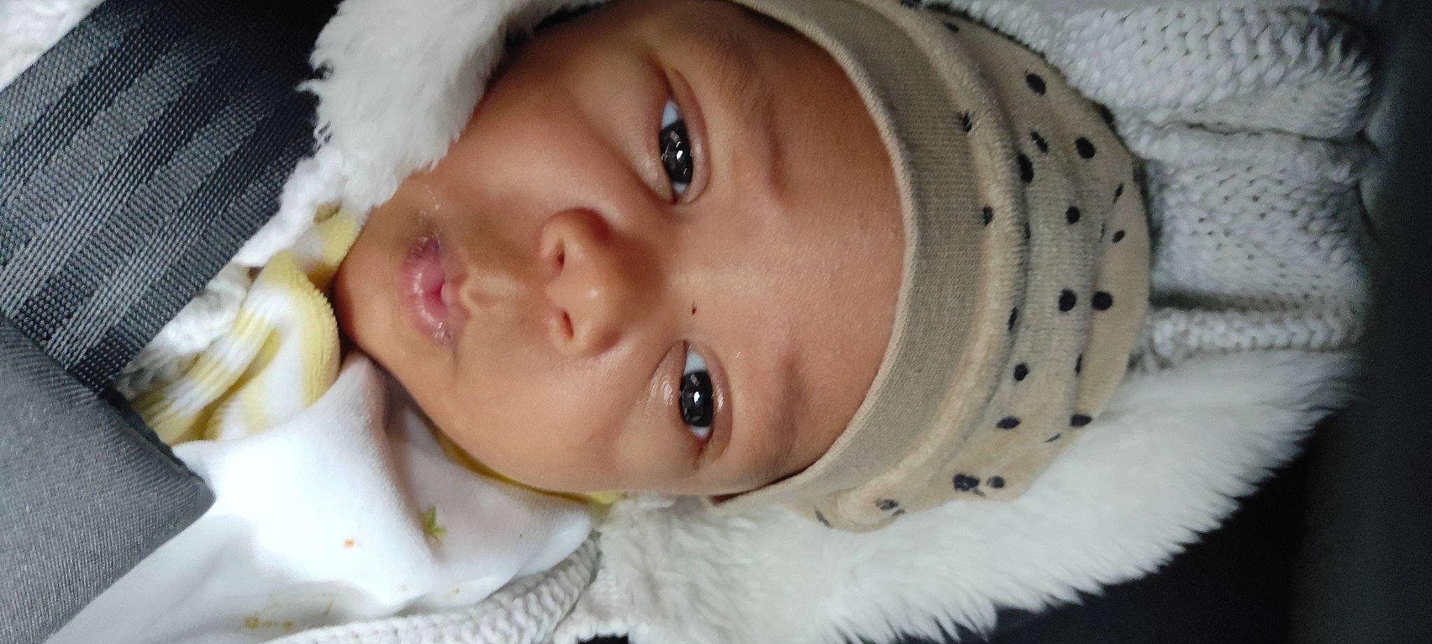 Curtis a rejoint le concours — aidez-le/la à gagner de superbes lots ! cap, cheek, chin, eye, eyebrow, eyelash, face, happy, hat, head, headgear, headwear, human_body, iris, lip, mouth, neck, nose, organ, person