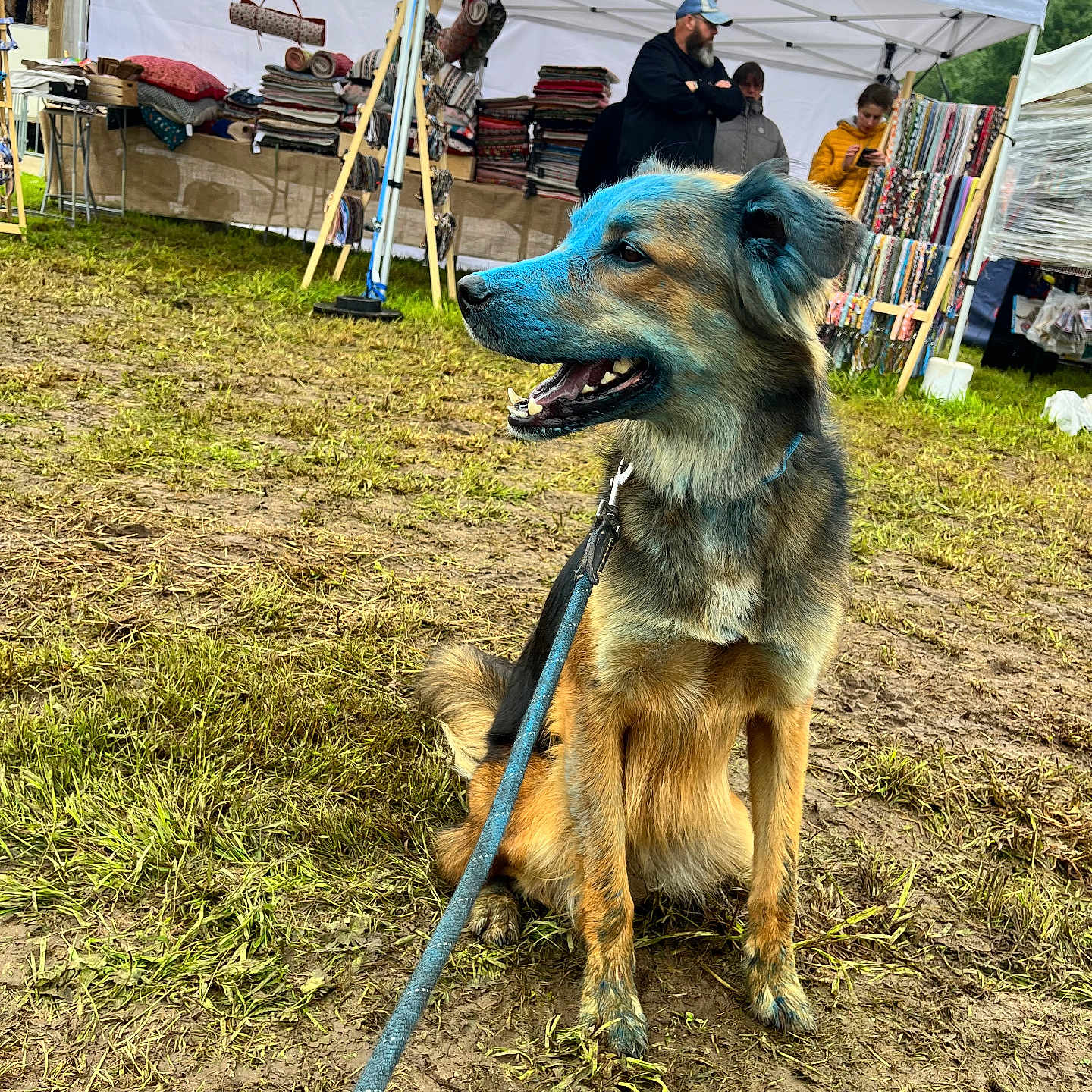 Snow a rejoint le concours — aidez-le/la à gagner de superbes lots ! accessories, adult, animal, architecture, bag, building, canine, clothing, dog, grass, handbag, hat, male, man, outdoors, person, pet, plant, shelter, soil