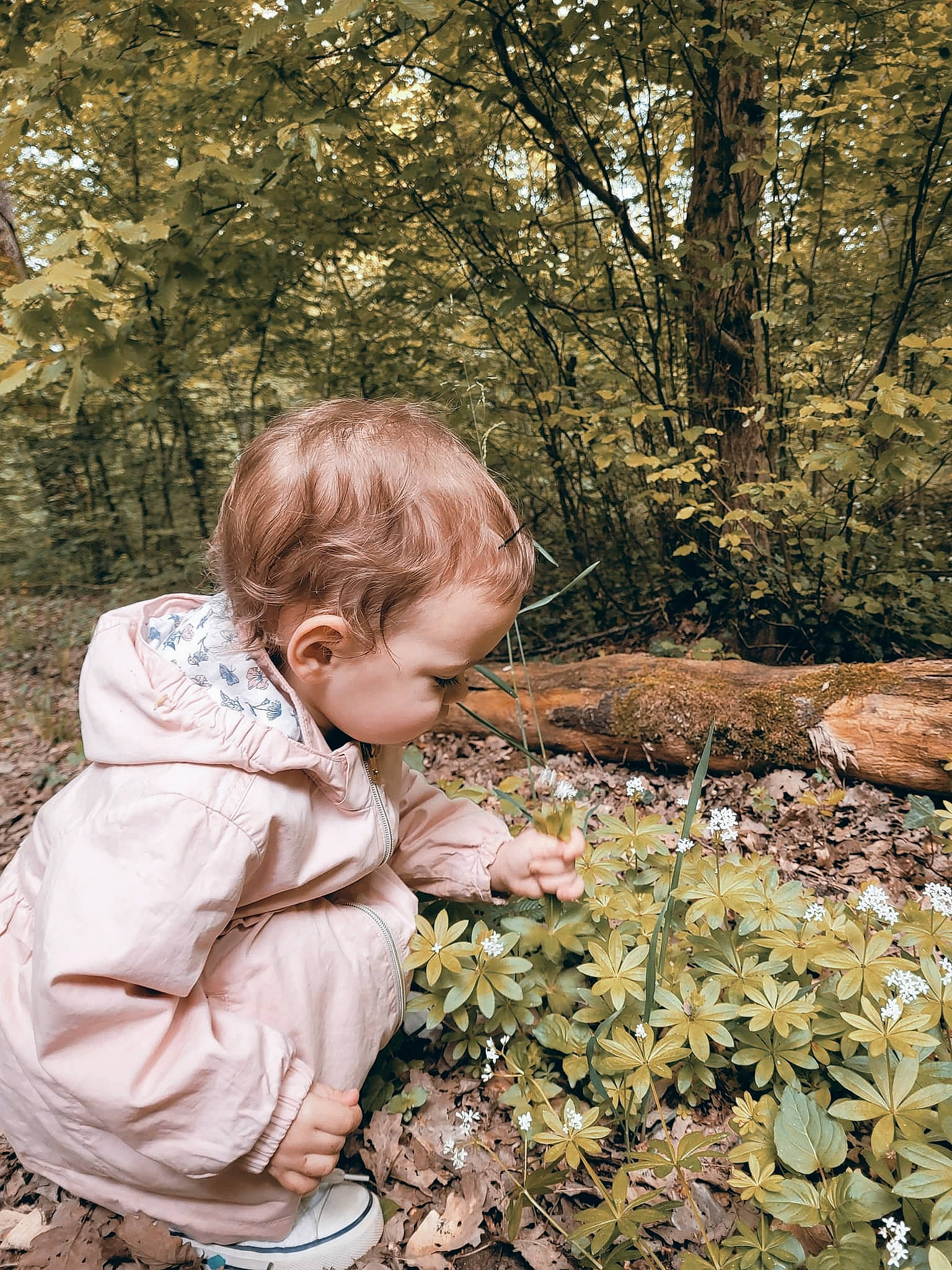 Victoire a rejoint le concours — aidez-le/la à gagner de superbes lots ! adaptation, botany, branch, child, clothing, forest, grass, groundcover, leaf, natural_landscape, nature, outerwear, people_in_nature, person, plant, terrestrial_plant, toddler, tree, trunk, wood
