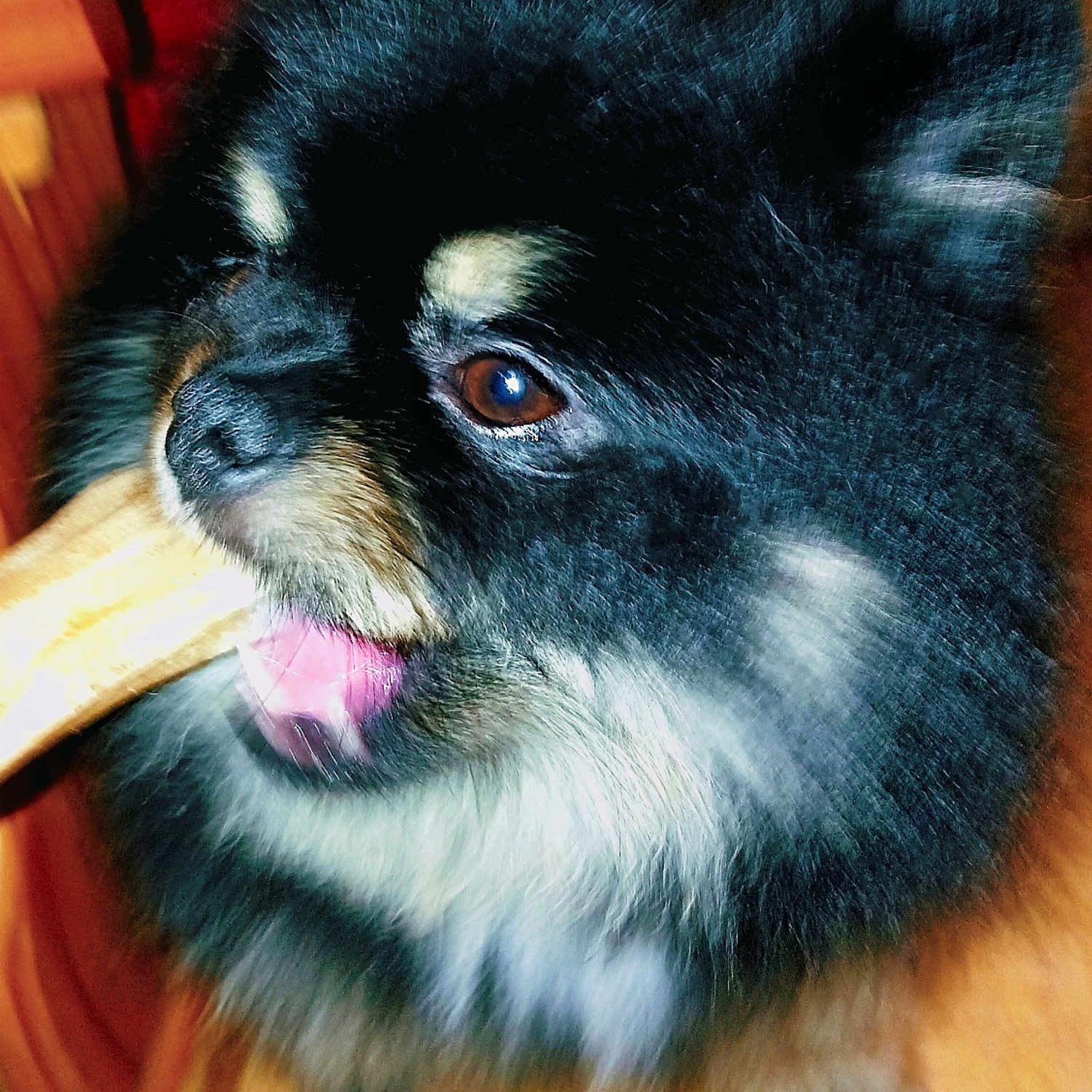 Sharly