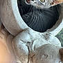 cat, tabby_cat, whiskers, planter, stone, rabbit_sculpture, indoor, curious, pet, animal, closeup, face, mouth_open, feline, window, light, decor, texture, grey, cute