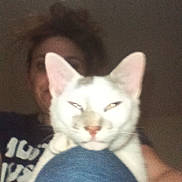 Batman joined the competition — help win amazing prizes! cat, person, indoor, blurry, white_cat, gray_spots, knee, casual, selfie, dim_lighting, pet, feline, closeup, human, hair, face, tshirt, jeans, home, resting