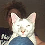 cat, person, indoor, blurry, white_cat, gray_spots, knee, casual, selfie, dim_lighting, pet, feline, closeup, human, hair, face, tshirt, jeans, home, resting