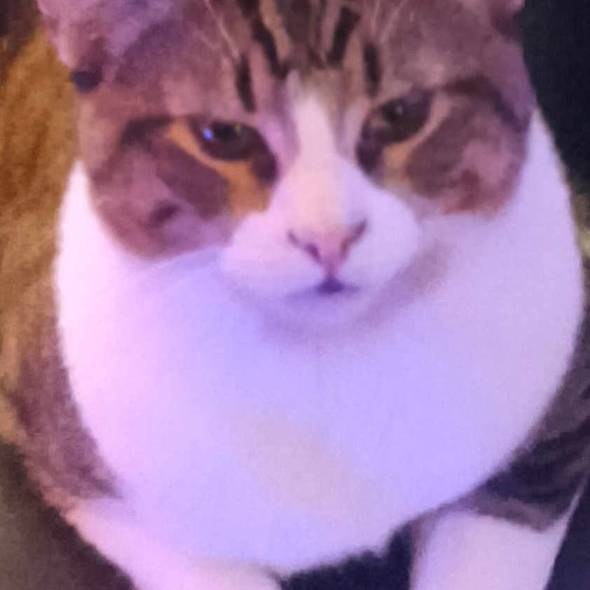 Phil