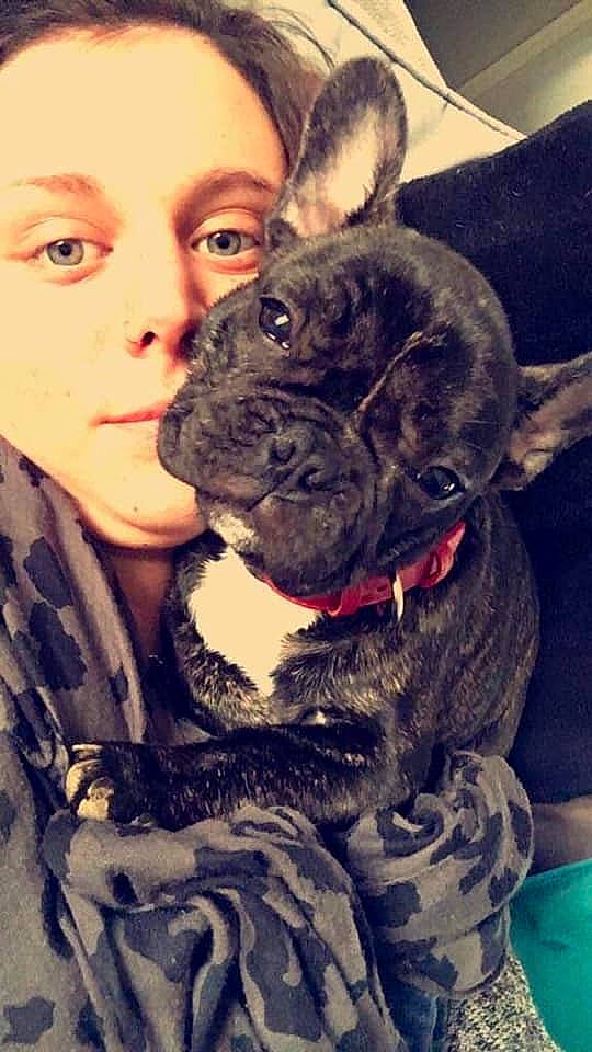 Mélo participe au concours pour gagner de l'argent avec cette photo : bulldog, bullmastiff, canidae, carnivore, companion_dog, dog, dog_breed, fawn, french_bulldog, mammal, molosser, non_sporting_group, olde_english_bulldogge, person, snout, vertebrate