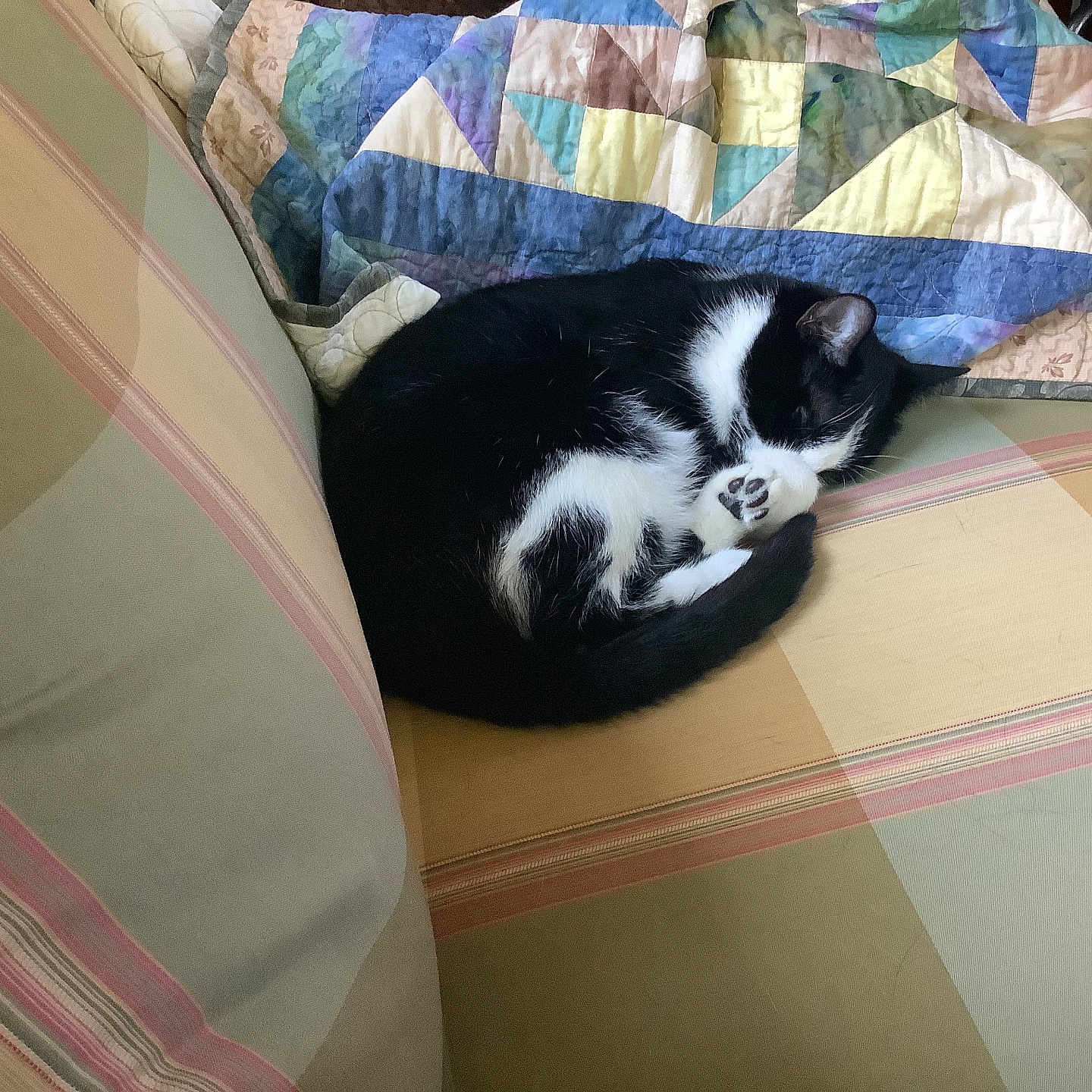Luna