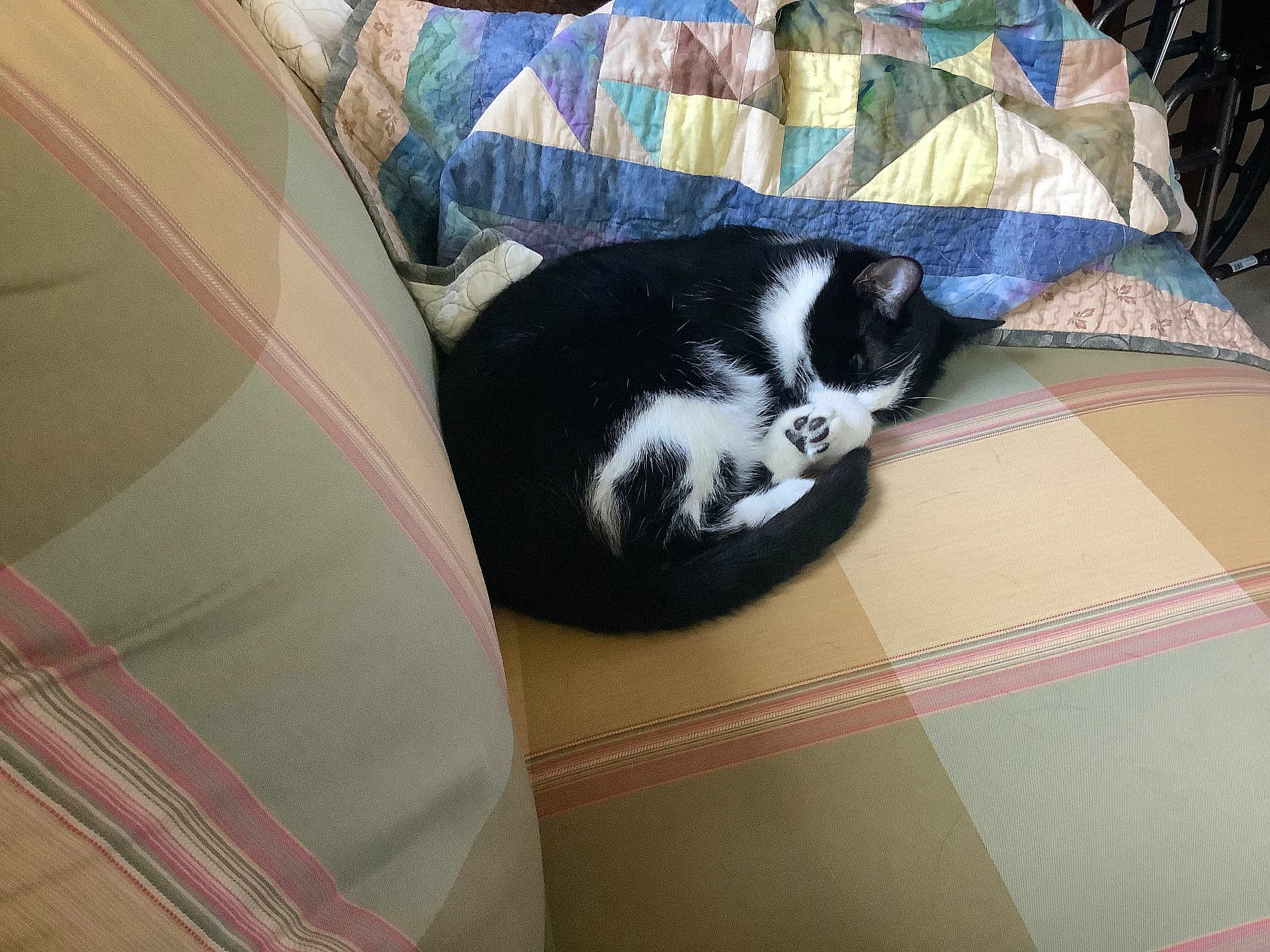 Luna