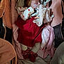baby, infant, stroller, sleeping, blanket, pacifier, headband, red_dress, booties, socks, bedding, cozy, newborn, soft_toy, pink, plush, car_seat, clothing, portrait, cute