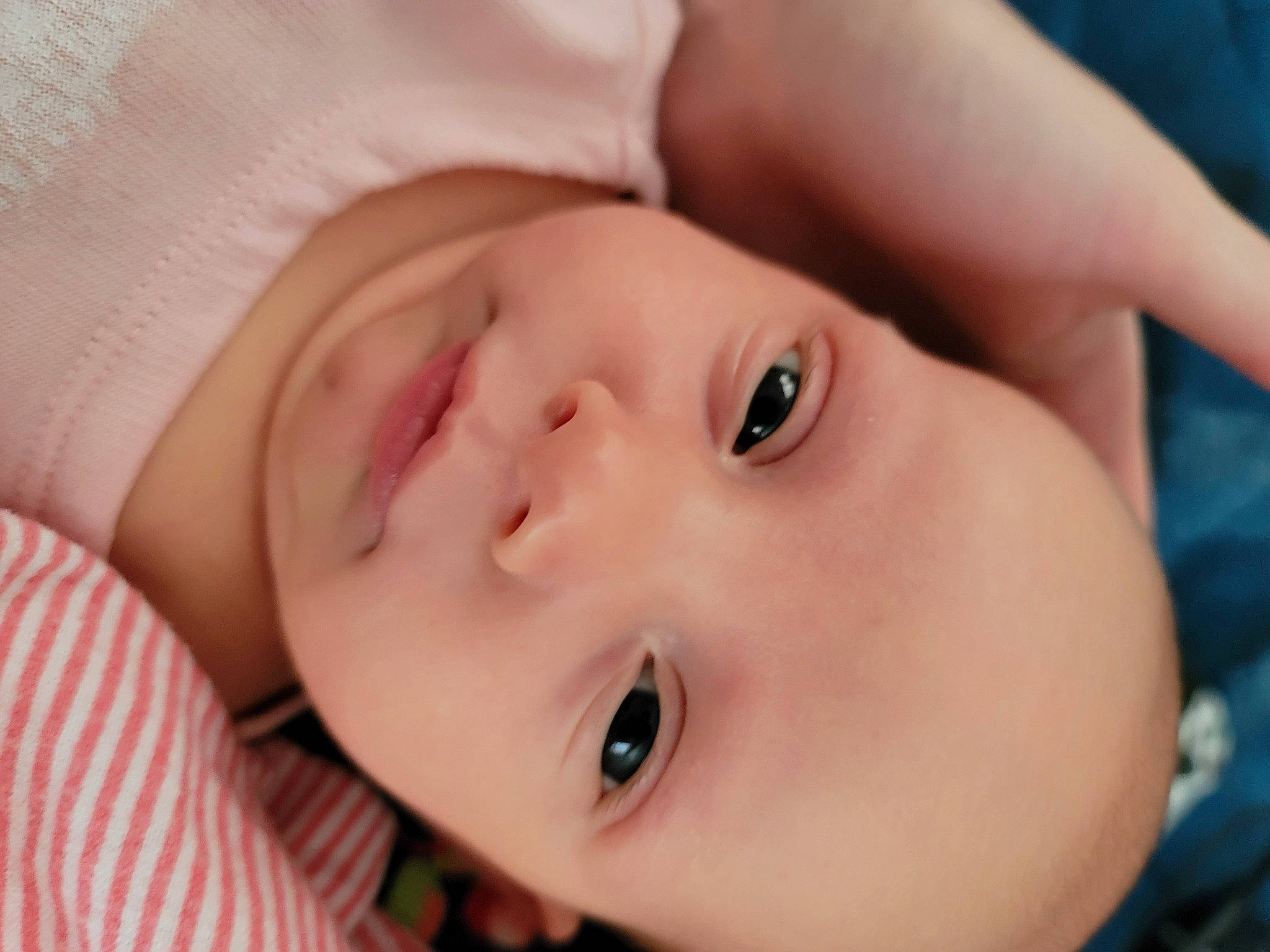 Lilith joined the competition — help win amazing prizes! baby, beauty, cheek, child, close_up, comfort, eye, eyebrow, eyelash, forehead, grass, happy, iris, lip, mouth, neck, nose, person, skin, smile