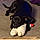 Onyx