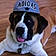 Dozer