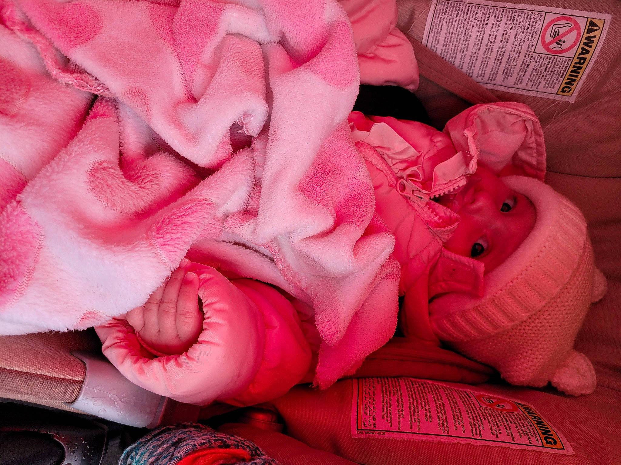 Maëlle participe au concours pour gagner de l'argent avec cette photo : carmine, close_up, comfort, fashion_accessory, flesh, font, fur, linens, magenta, pattern, peach, person, personal_protective_equipment, petal, pink, red, rose_family, rose_order, sweetness