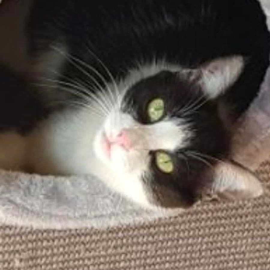 Tilly