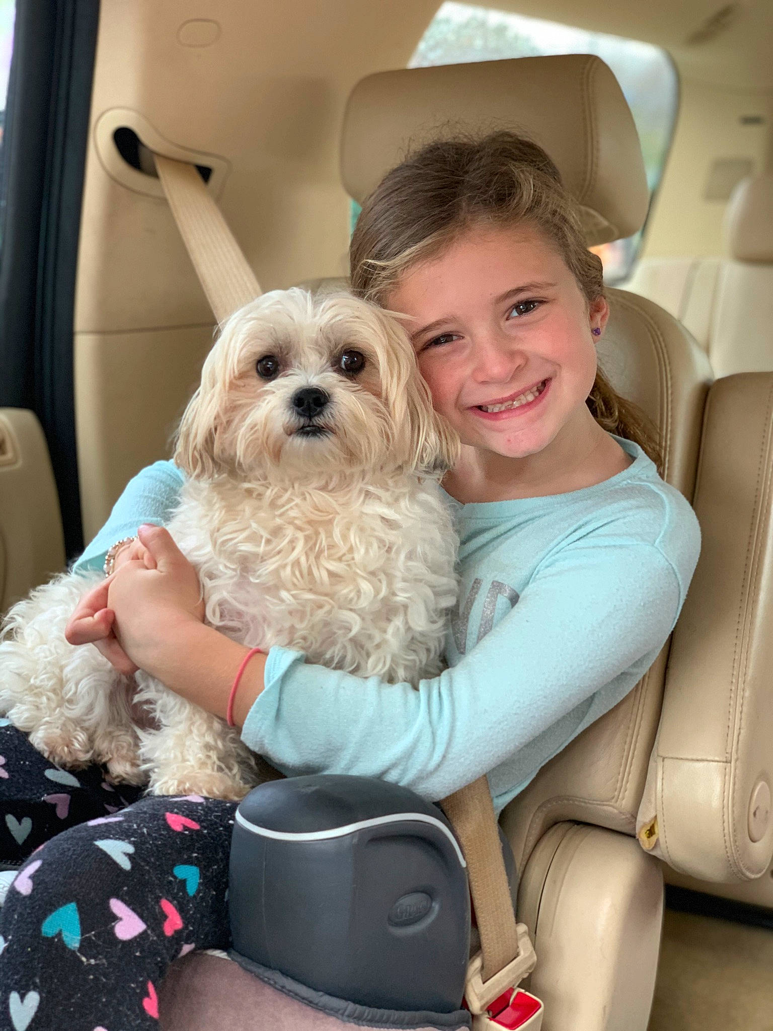 Lucy joined the competition — help win amazing prizes! blond, car, car_seat, car_seat_cover, carnivore, child, comfort, companion_dog, dog, dog_breed, eyewear, family_car, happy, leisure, seat_belt, sitting, smile, toddler, toy_dog, vehicle_door