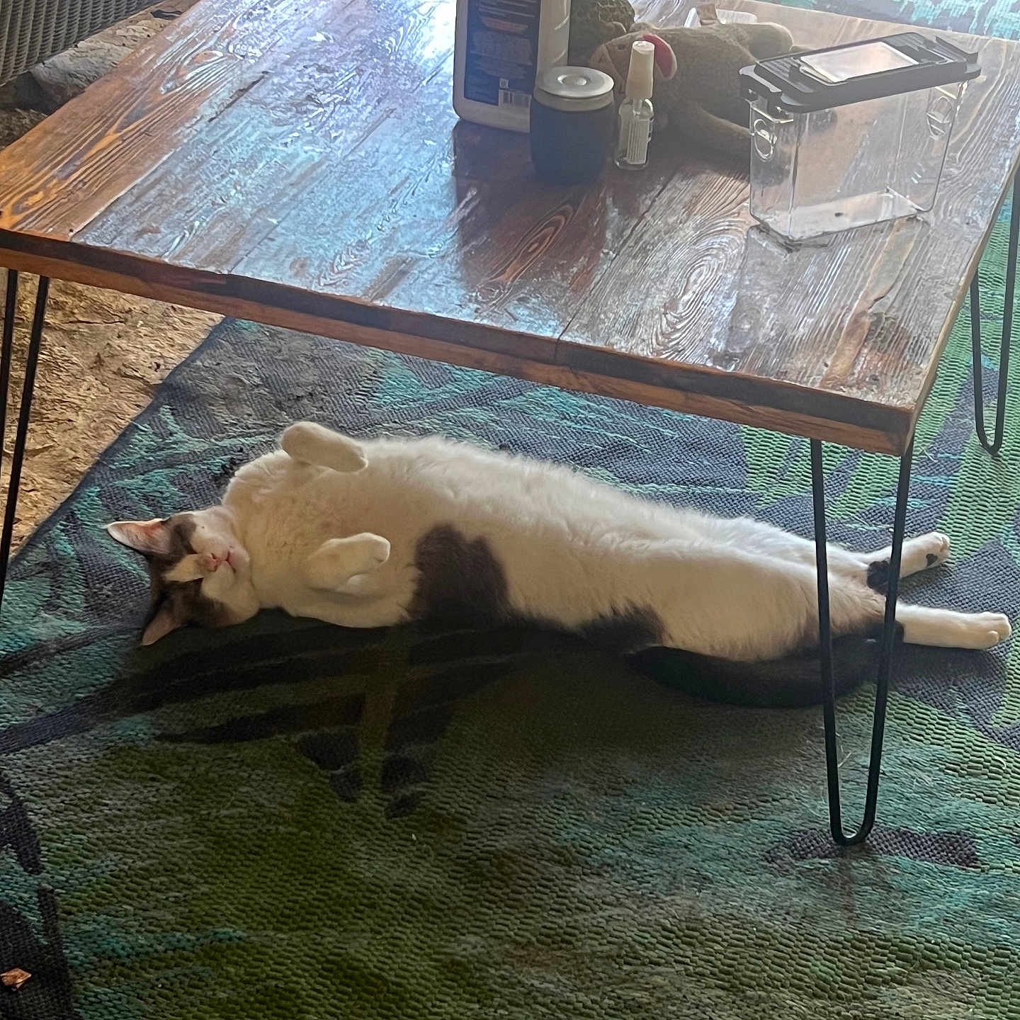 Sammy