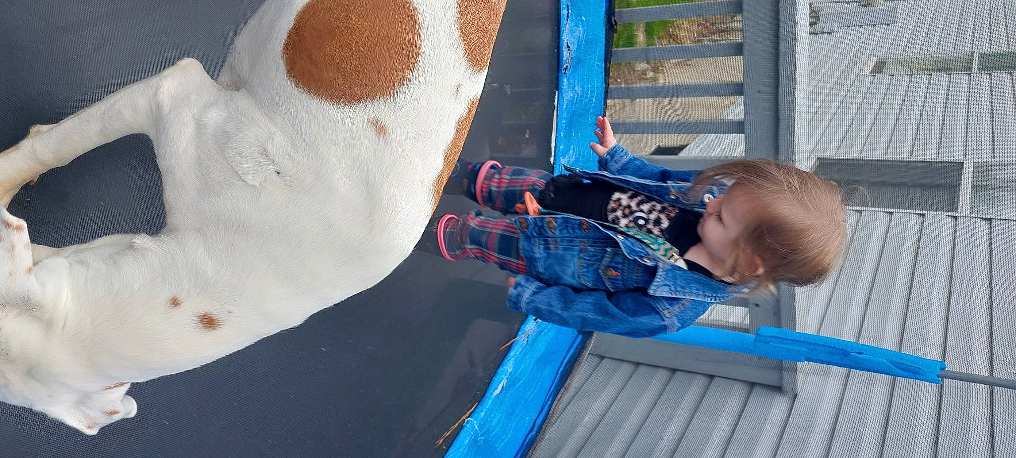 Georgia is registered to the contest to win money with this photo: art, blue, carmine, child, electric_blue, fun, leisure, pattern, personal_protective_equipment, plastic, recreation, skull, toddler, tree, visual_arts