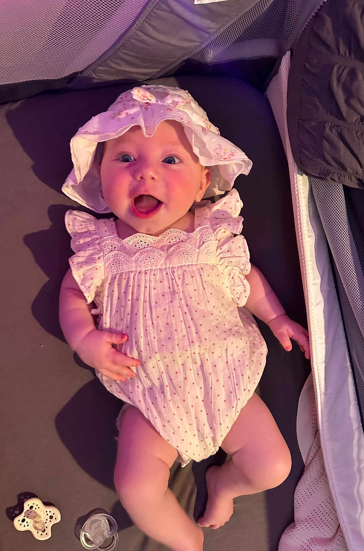Bella Rose