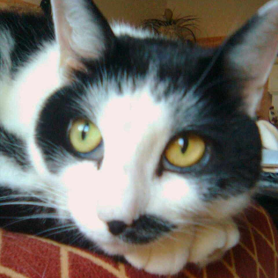 Cleo is registered to the contest to win money with this photo: