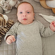 Alessio a rejoint le concours — aidez-le/la à gagner de superbes lots ! baby, bed, child, cute, expression, face, grey_onesie, hands, head, indoor, infant, legs, lying_down, plush_toy, quilted_mat, soft_toys, stuffed_animal, toy_dog, toy_rabbit, toy_tiger