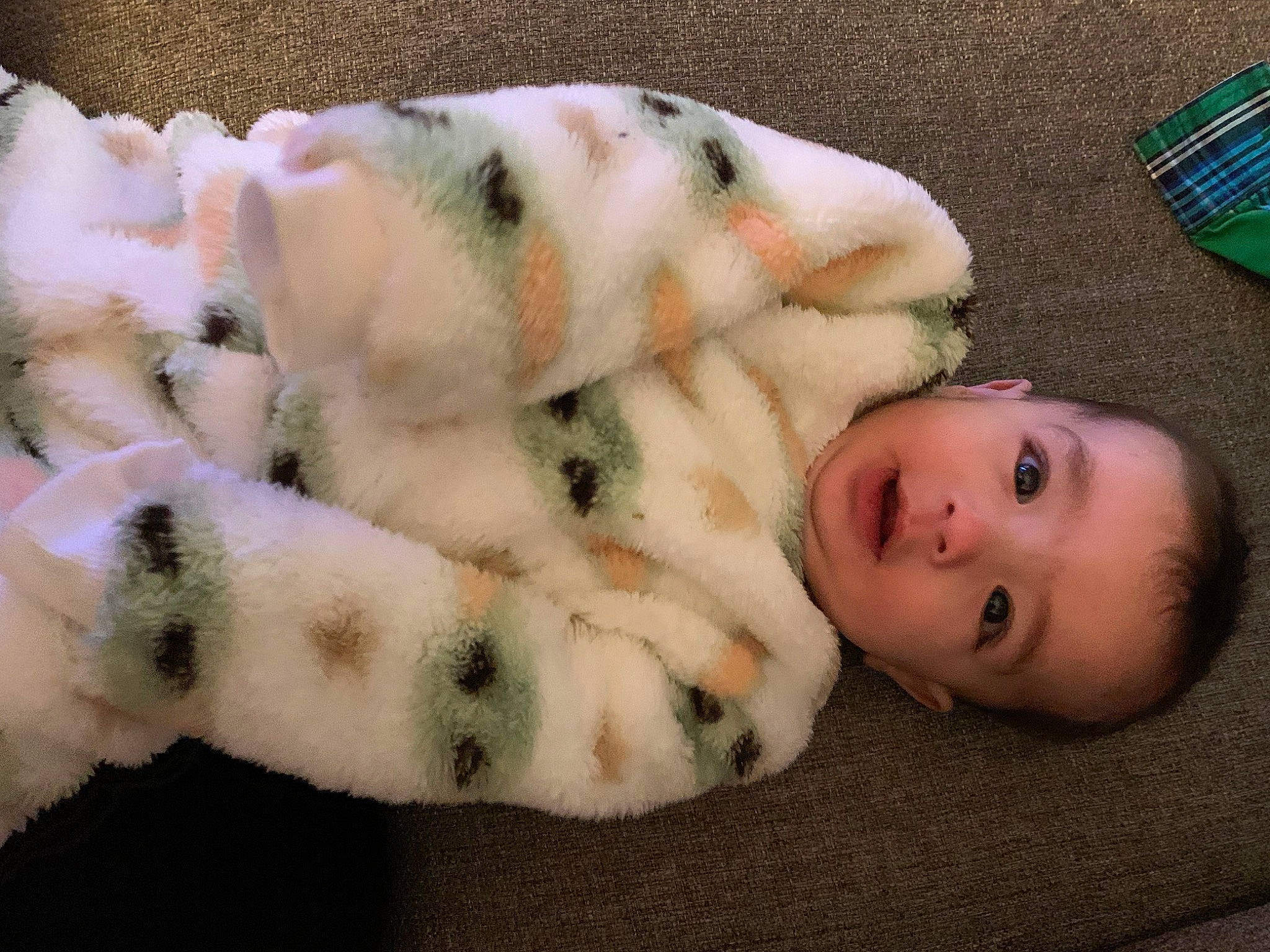 Aydrean is registered to the contest to win money with this photo: baby, canidae, comfort, comfort_food, companion_dog, dog_breed, fur, paw, person, plush, small_to_medium_sized_cats, stuffed_toy, toddler, toy, wool