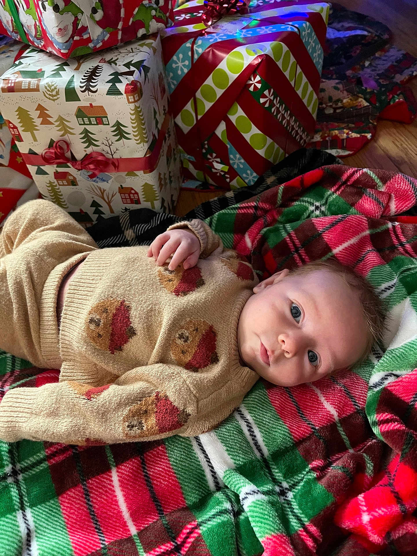 Buck is registered to the contest to win money with this photo: baby, child, infant, blanket, plaid, christmas, presents, gift_wrap, sweater, bear_pattern, floor, wood_floor, holiday, festive, indoors, portrait, cute, looking_at_camera, cozy, warm_clothing