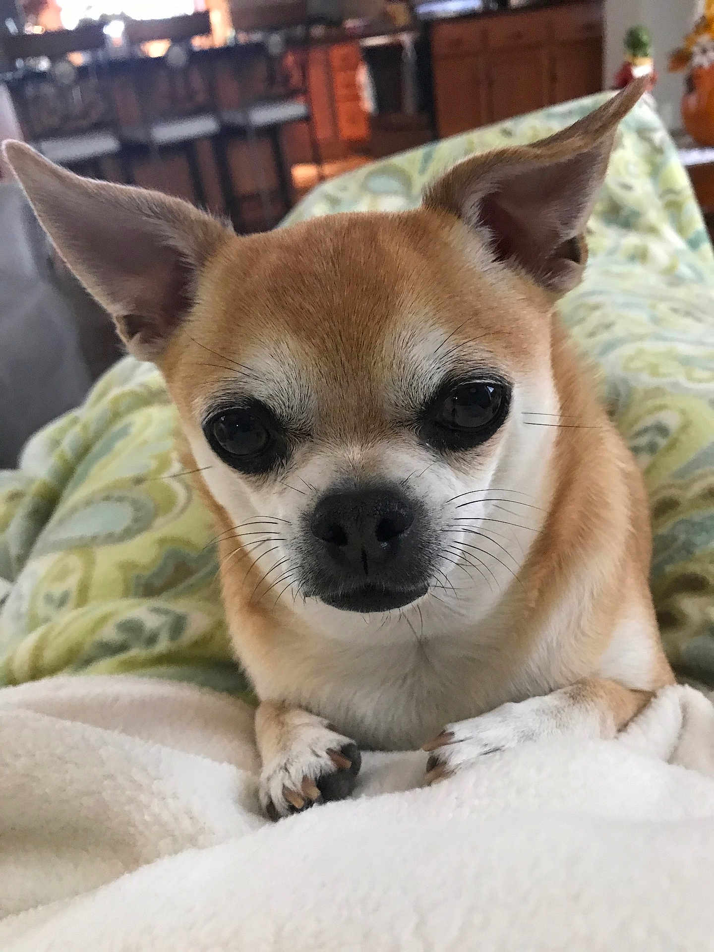 Diego