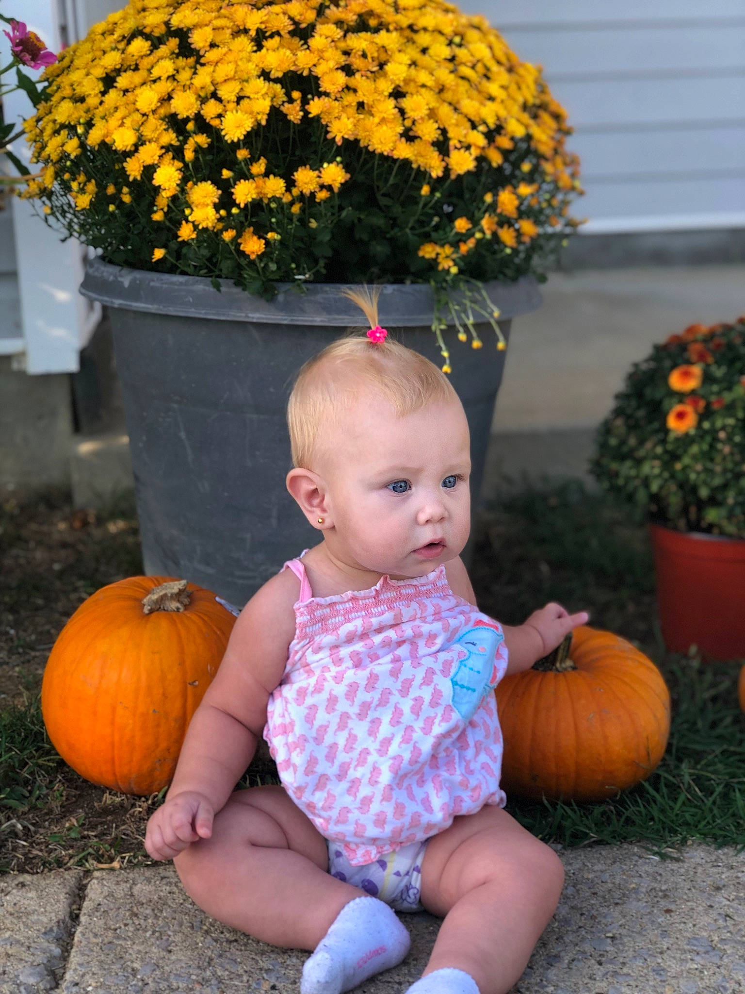 Madalyn is registered to the contest to win money with this photo: baby_toddler_clothing, black, botany, calabaza, cucurbita, facial_expression, flower, flowerpot, gourd, grass, human_body, leaf, morning, orange, organ, person, plant, pumpkin, toddler, winter_squash