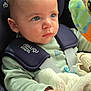 baby, car_seat, blue_eyes, blanket, plush_toy, child, infant, hand, clothing, seatbelt, indoor, person, cute, young_child, soft_toy, toddler, safety_harness, curious, portrait, closeup