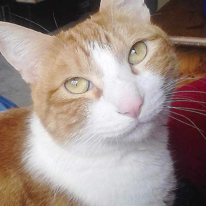 Sam