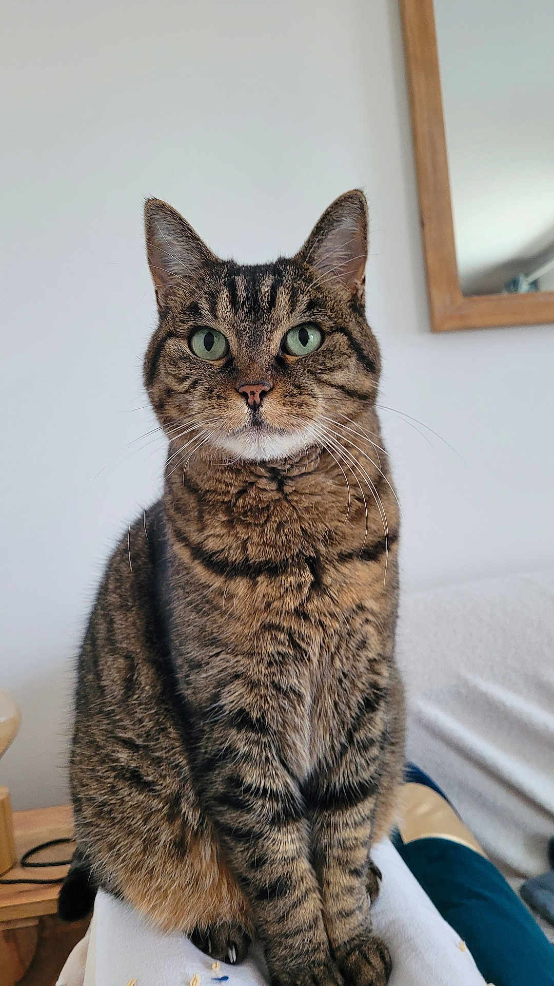 Félindra
