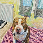 Titi participe au concours pour gagner de l'argent avec cette photo : dog, bulldog, pet, animal, sitting, portrait, indoors, home, blanket, pink, patterned, window, radiator, room, colorful, sketch_effect, brown_and_white, collar, looking_at_camera, funny_expression