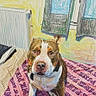 dog, bulldog, pet, animal, sitting, portrait, indoors, home, blanket, pink, patterned, window, radiator, room, colorful, sketch_effect, brown_and_white, collar, looking_at_camera, funny_expression
