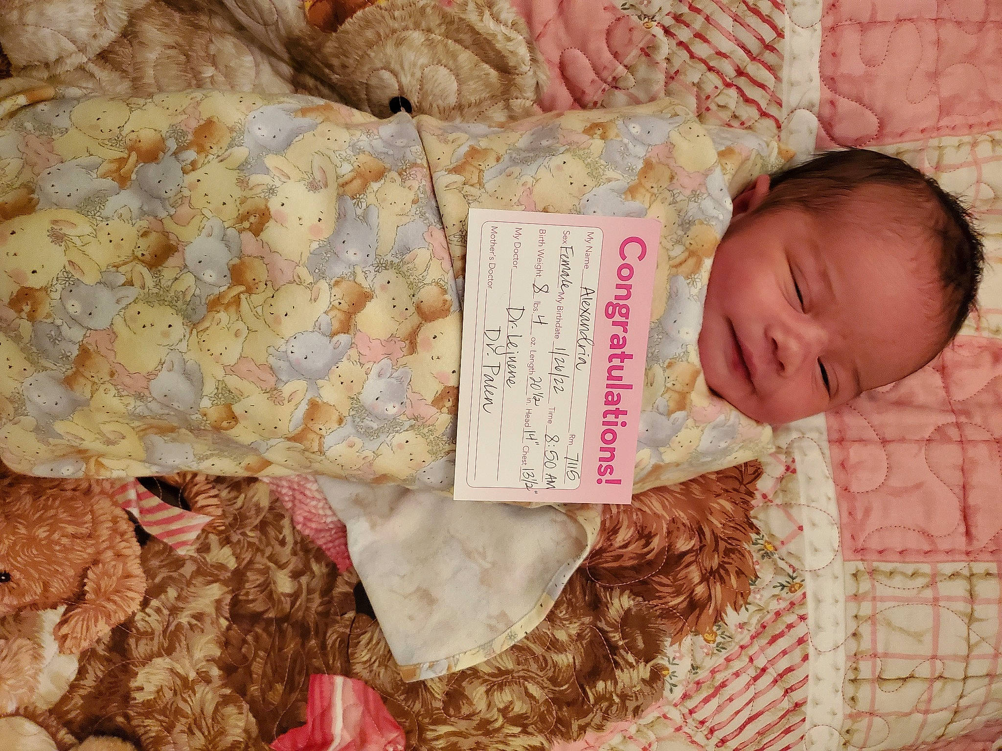 Alexandria joined the competition — help win amazing prizes! baby, baby_toddler_clothing, bedding, bedtime, book, child, comfort, couch, fur, knitting, linens, pattern, person, rock, room, textile, thread, toddler, wood, wool