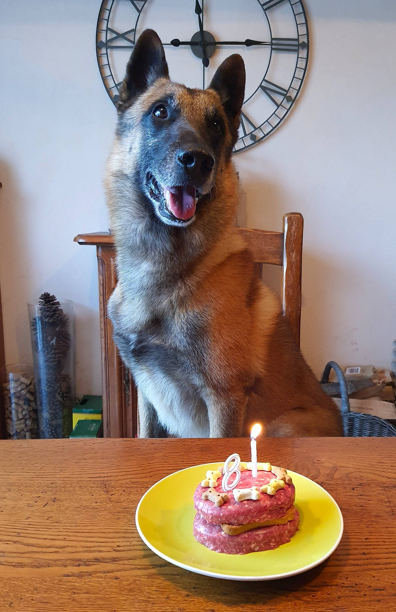 Lewis participe au concours pour gagner de l'argent avec cette photo : baked_goods, birthday_cake, birthday_candle, cake, cake_decorating, cake_decorating_supply, candle, carnivore, collar, companion_dog, cuisine, dog, dog_supply, food, ingredient, plate, sugar_cake, table, tableware, window