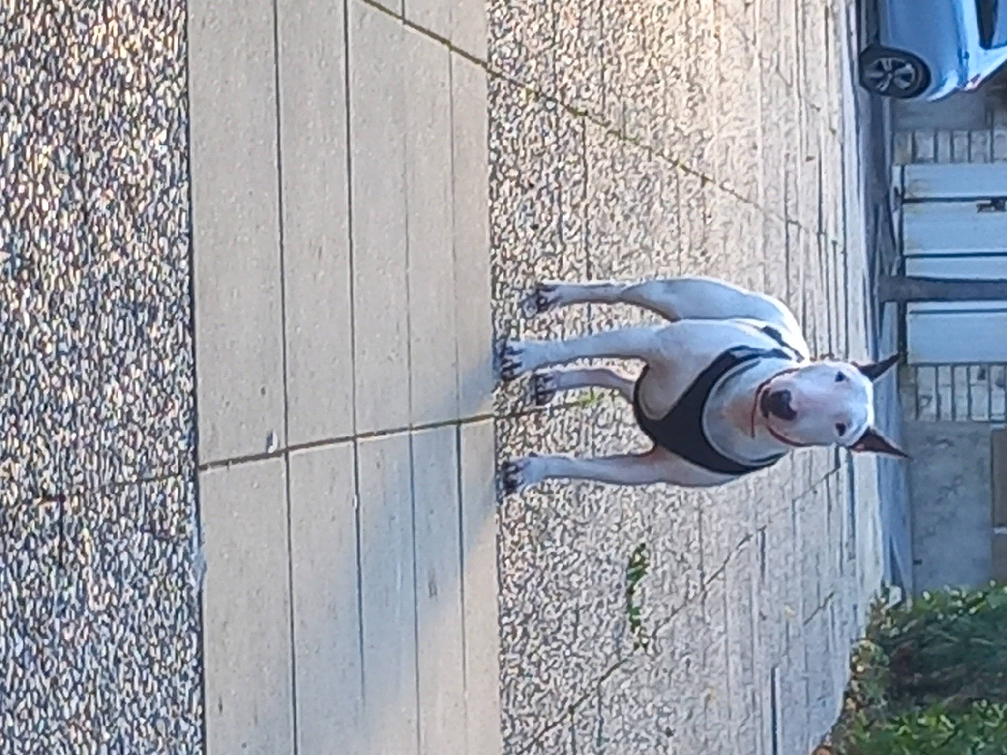 Shelbi participe au concours pour gagner de l'argent avec cette photo : art, brick, brickwork, building, concrete, door, door_handle, electric_blue, facade, flooring, gas, grey, lock, metal, plant, road, road_surface, sculpture, sidewalk, wood