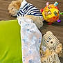 Charlie joined the competition — help win amazing prizes! animal, blanket, colorful, cozy, cute, dog, green_pillow, indoor, nap, pet, plush_toy, puppy, relaxing, resting, sleeping, small_dog, soft, striped_shirt, stuffed_animal, wooden_floor