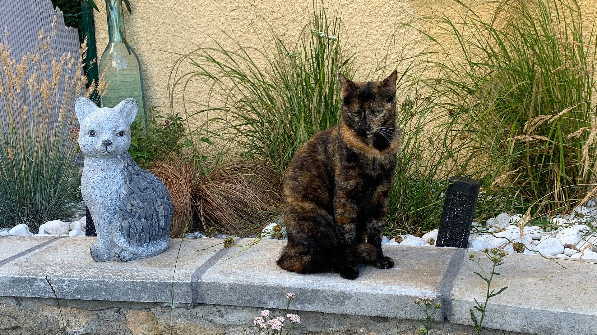 Nalla