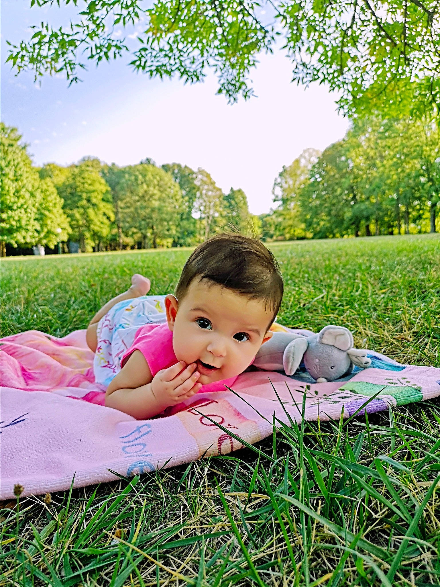 Léona a rejoint le concours — aidez-le/la à gagner de superbes lots ! baby, child, fun, grass, grass_family, grassland, happy, lawn, leaf, meadow, people_in_nature, person, photograph, photography, plant, sitting, skin, spring, summer, toddler