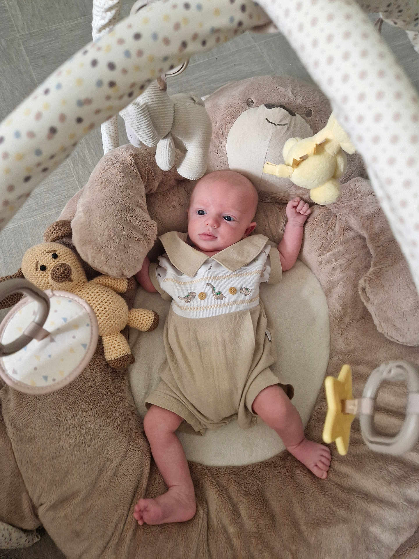 Lucas